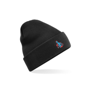 Box Gathering Beanie